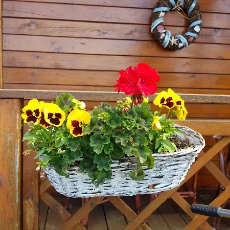 아파트 Fala Family *