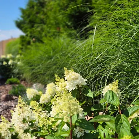 아파트 Fala Family 드지우노웨크