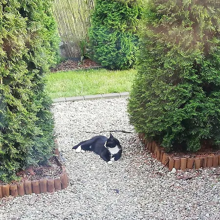 아파트 Fala Family