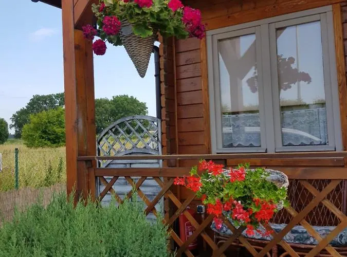 Daire Fala Family Dziwnówek